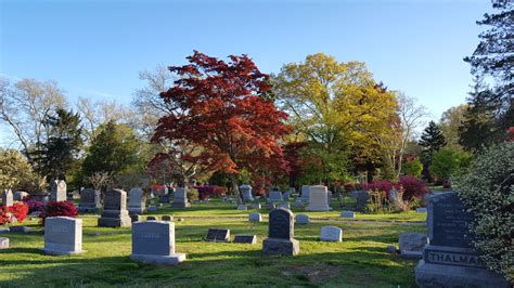 In-Ground Burial – Moravian Cemetery