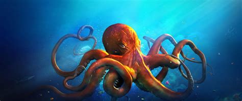 Image result for Octopus Desktop