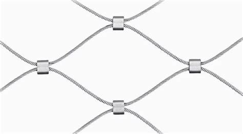 WebNet 的图像结果