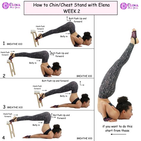 Chest Stand Tutorial 的图像结果