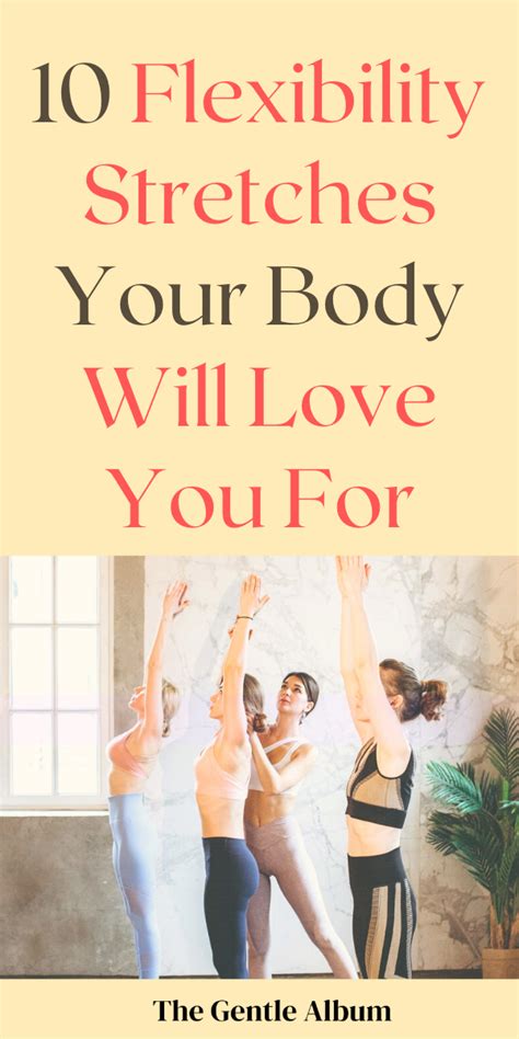 Flexibility Exercises Examples 的图像结果
