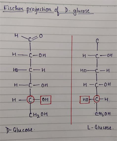 Glucose Fischer Projection