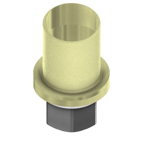 ELLIPTIBase® kompatibel mit Biohorizons® Internal 3,0