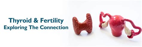 Boosting Fertility with Thyroid Health: Tips and Strategies