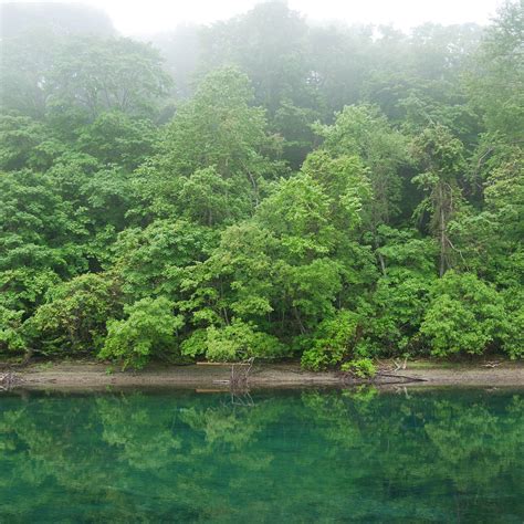 Yamasen Bridge (Chitose) - All You Need to Know BEFORE You Go