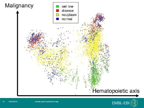 Image result for Gene Expression Map