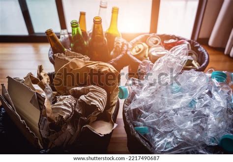 Image result for Sample Container Sorting