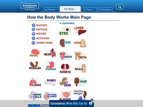 Image result for How OS Works Kids