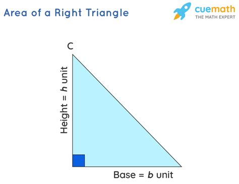 Image result for Triangle Class 9 Examples