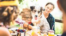 alimenti contenenti colesterolo diabete tipo 2 colesterolo succo carota alleato propriet 224 alimenti contenenti colesterolo diabete tipo 2 colesterolo succo carota alleato propriet 224