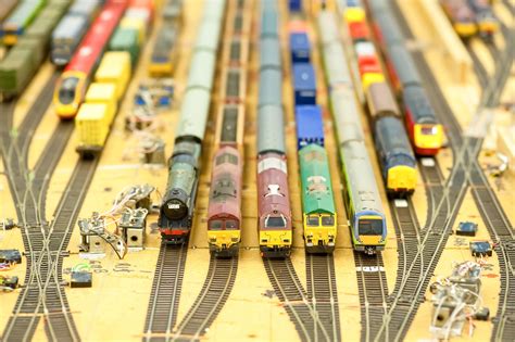 Model Local Trains 的图像结果
