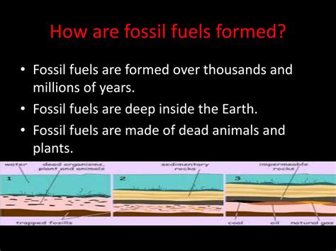 Image result for How Are Fossil Fuels Formed