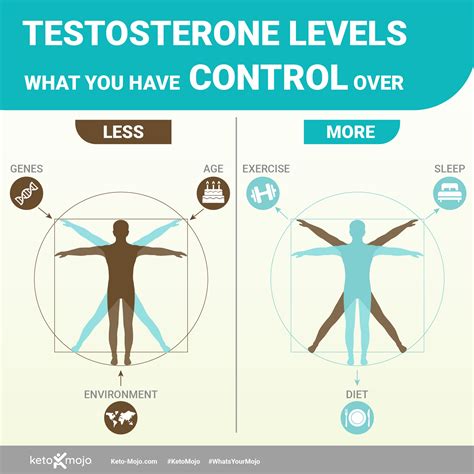 How Does the Keto Diet Affect Testosterone? – KETO-MOJO - what affects testosterone levels