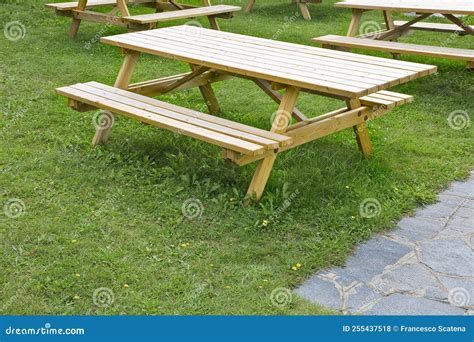 New Empty Pine Wood Picnic Table on a Green Meadow in a Public Park ...