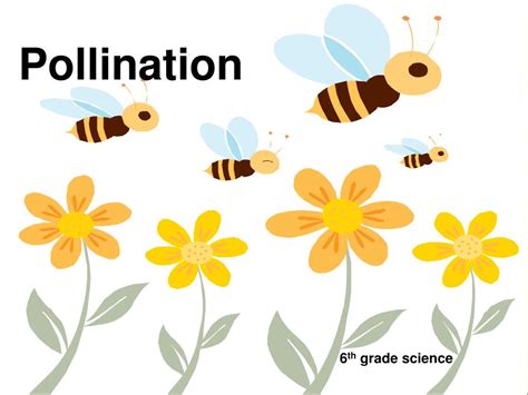 Pollination Importance 的图像结果