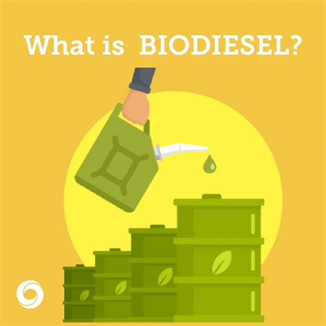 What is biodiesel? Biodiesel vs Diesel - Christof Industries