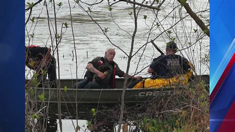 Bald Eagle Rescue Longmeadow