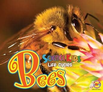 Buy Bees (Science Kids Life Cycles) Book Online at Low Prices in India ...