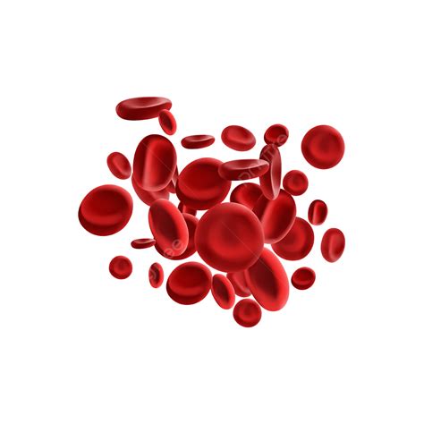 Blood Cells Illustration, Blood Cells, Blood, Illustration PNG and ...