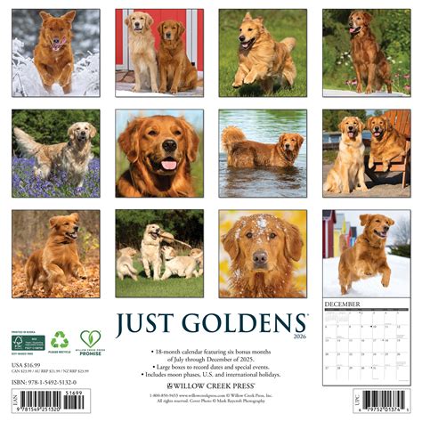 2026 Goldens - Square Wall