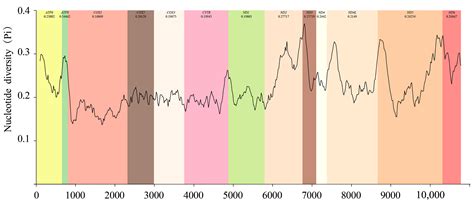 Mitogenomic Analysis and Phylogenetic Implications for the ...