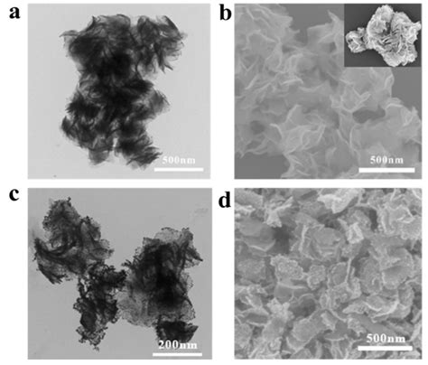 MoS2/Au Heterojunction Catalyst for SERS Monitoring of a Fenton-like ...