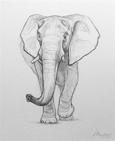 Elephant sketch Sketchbook animal art. Pencil drawing of an African ...