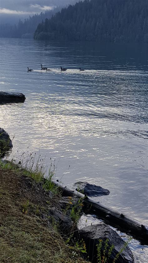 Swift Creek Campground in Mount Baker-Snoqualmie National Forest ...