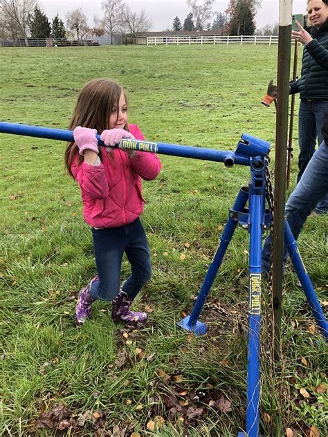 Image result for How to Remove T-Post