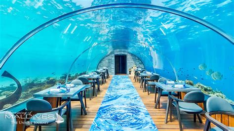 Underwater Restaurants Maldives: Booking, Prices Guide