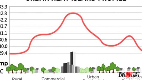 Image result for Prototype Example Project Environmental Science