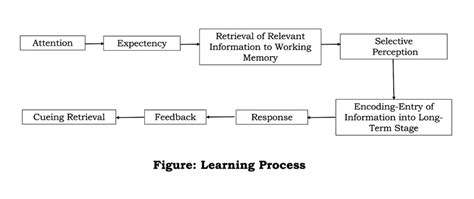 Learning Process 的图像结果