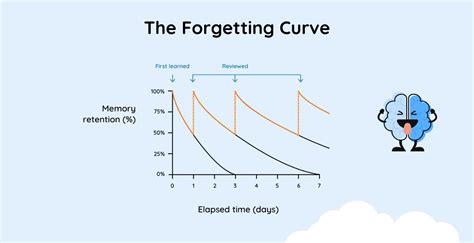 Ebbinghaus's Forgetting Curve: The Key to Lifelong Learning