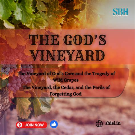 God's Vineyard - Shiel Bible Home