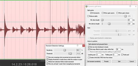 Image result for Reaper Dynamic Split