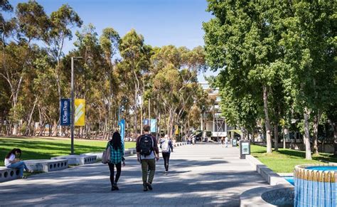 Image result for UCSD Student Life