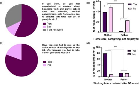 The social and emotional burden of Dravet syndrome on Spanish ...