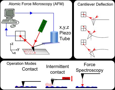 Image result for AFM Lab