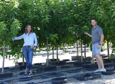 Bylands Office Photos