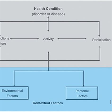 Image result for International Classification of Functioning Scoring