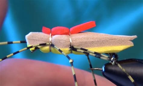 Image result for Morrish Hopper Fly Pattern