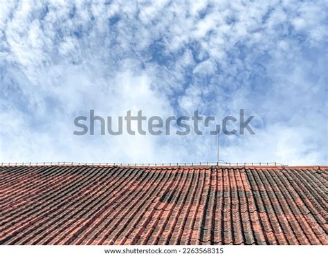 Lightning-Rod 的图像结果