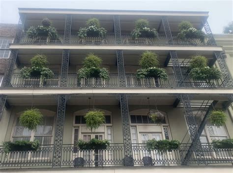 Discover the 10 Most Iconic Nicknames of New Orleans! - The Simple Bliss