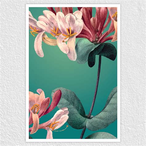 Honeysuckle Flower Poster - Vibrant Botanical Artwork for Your Home