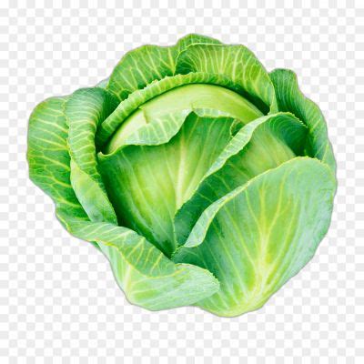Cabbage Isolated Transparent Image Png - Pngsource
