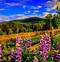 Image result for East Tennessee Spring Desktop