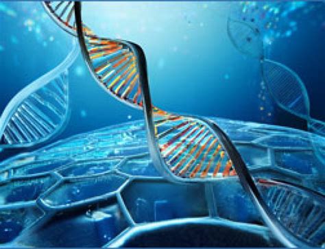 RNA Sequencing Method 的图像结果