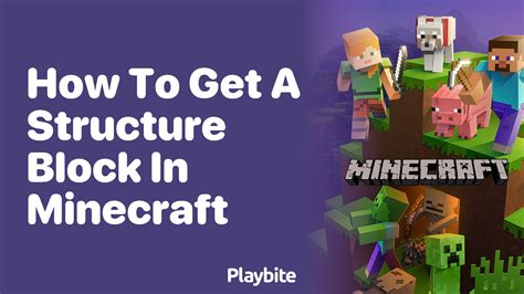 Image result for Structure Block Minecraft PC