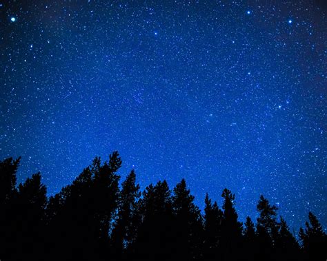 Image result for Night Shift Models Work Bench