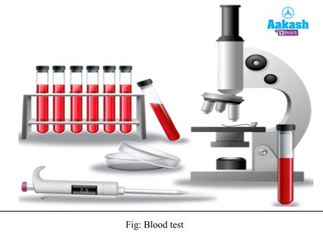 Blood Group Types, Erythroblastosis foetalis, Antigens and Antibodies ...